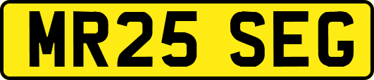 MR25SEG