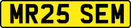 MR25SEM