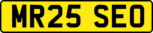 MR25SEO