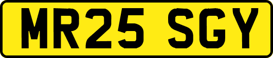 MR25SGY