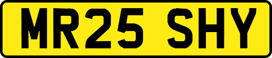 MR25SHY