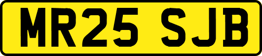 MR25SJB