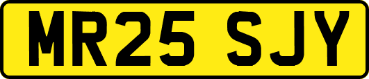 MR25SJY