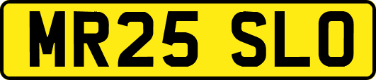 MR25SLO
