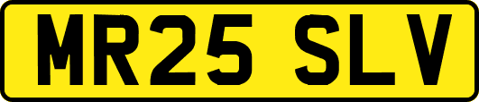 MR25SLV