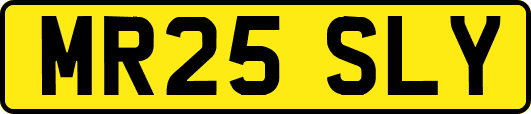 MR25SLY