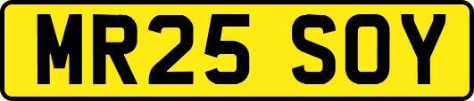 MR25SOY