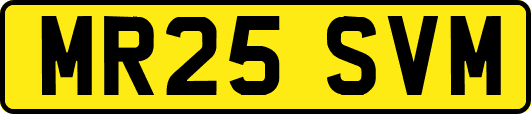 MR25SVM