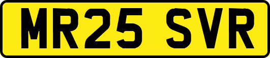 MR25SVR