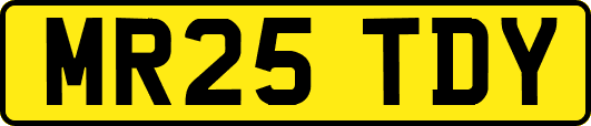 MR25TDY