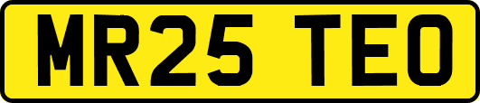 MR25TEO