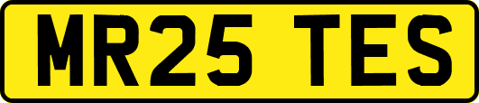MR25TES
