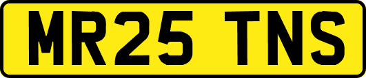 MR25TNS