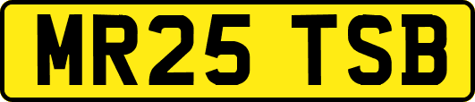 MR25TSB