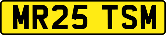 MR25TSM