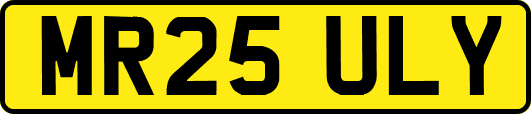MR25ULY
