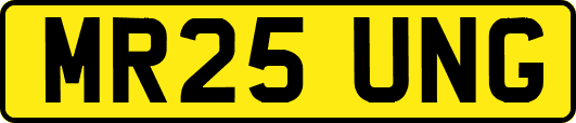 MR25UNG
