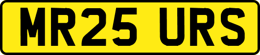 MR25URS