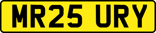 MR25URY