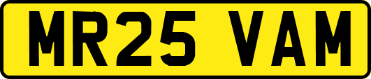 MR25VAM