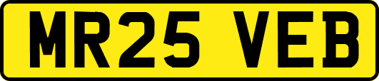 MR25VEB