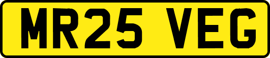 MR25VEG