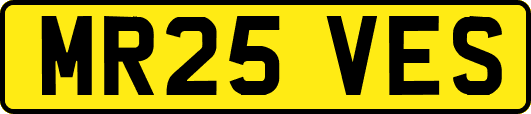 MR25VES