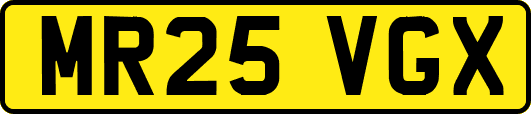 MR25VGX