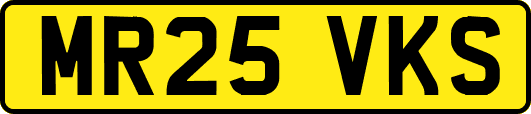 MR25VKS