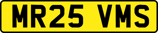 MR25VMS