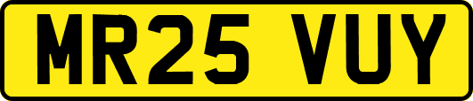 MR25VUY