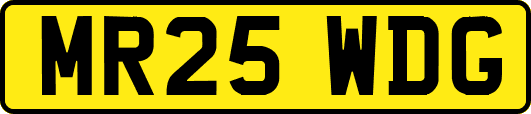 MR25WDG