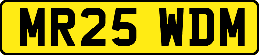 MR25WDM