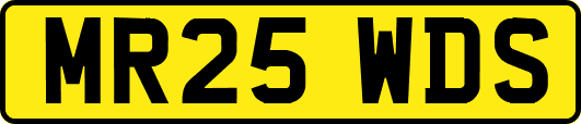 MR25WDS