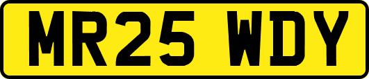 MR25WDY