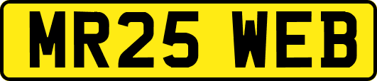 MR25WEB