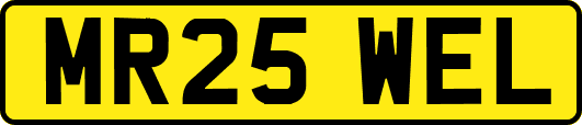 MR25WEL