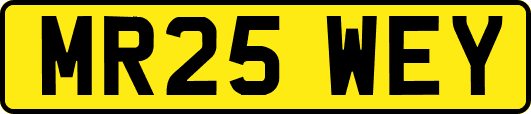 MR25WEY
