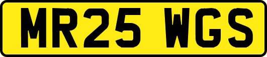 MR25WGS