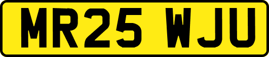 MR25WJU