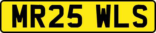 MR25WLS