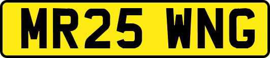 MR25WNG