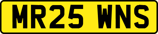 MR25WNS