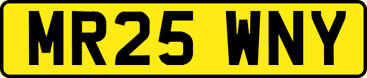 MR25WNY