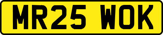 MR25WOK