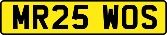 MR25WOS