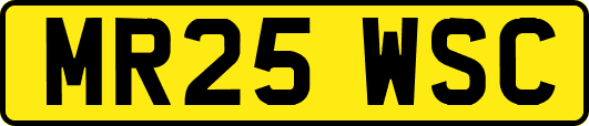 MR25WSC