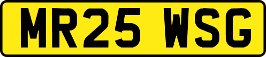 MR25WSG