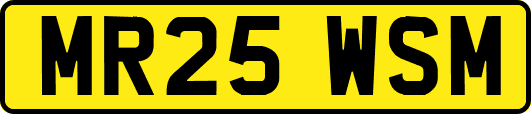 MR25WSM
