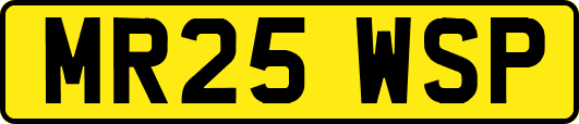 MR25WSP